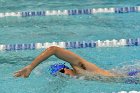 Swimming vs Bentley  Wheaton College Swimming vs Bentley. - Photo By: KEITH NORDSTROM : Wheaton, Swimming, Bentley